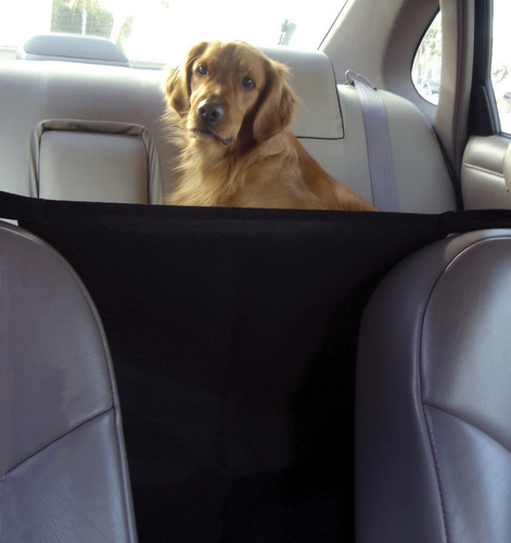 Front Seat Safety Barrier