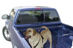 Dog Safety Restraints: PetBuckle Truck Tether