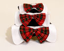 Bow Bell Collar - Large