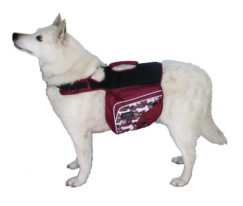 Excursion Dog Pack - Lg