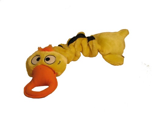 Extreme Bungee Duck