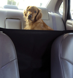 Pet Travel and Safety: Front Seat Safety Barrier