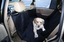 Pet Travel and Safety: Back Seat Hammock Protector