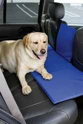 Pet Travel and Safety: Extend-A-Seat