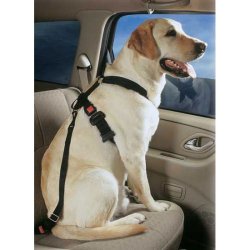 Dog Safety Restraints: PetBuckle Travel Harness