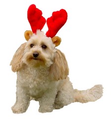 Christmas Antlers & Headbands: Holiday Antlers - Small