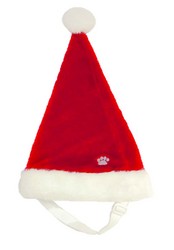 Christmas Hats: Santa Hat - Large