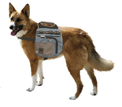 Dog Backpacks: Urban Adventure Back Pack - Med
